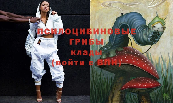 ПСИЛОЦИБИНОВЫЕ ГРИБЫ Покров
