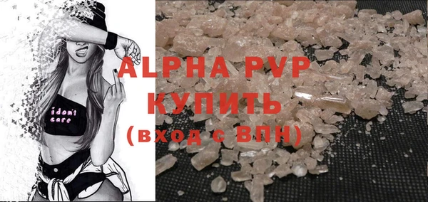 стафф Галич
