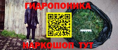 мяу мяу мука Обь