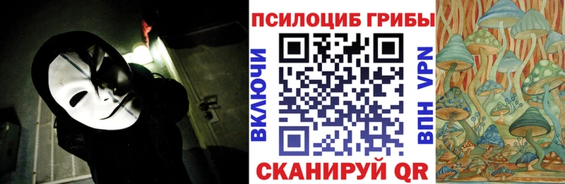Псилоцибиновые грибы мицелий  Родники 