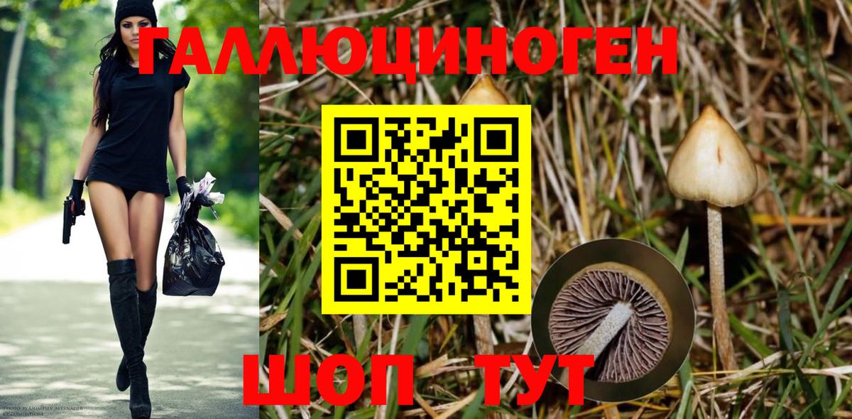 Галлюциногенные грибы GOLDEN TEACHER Родники