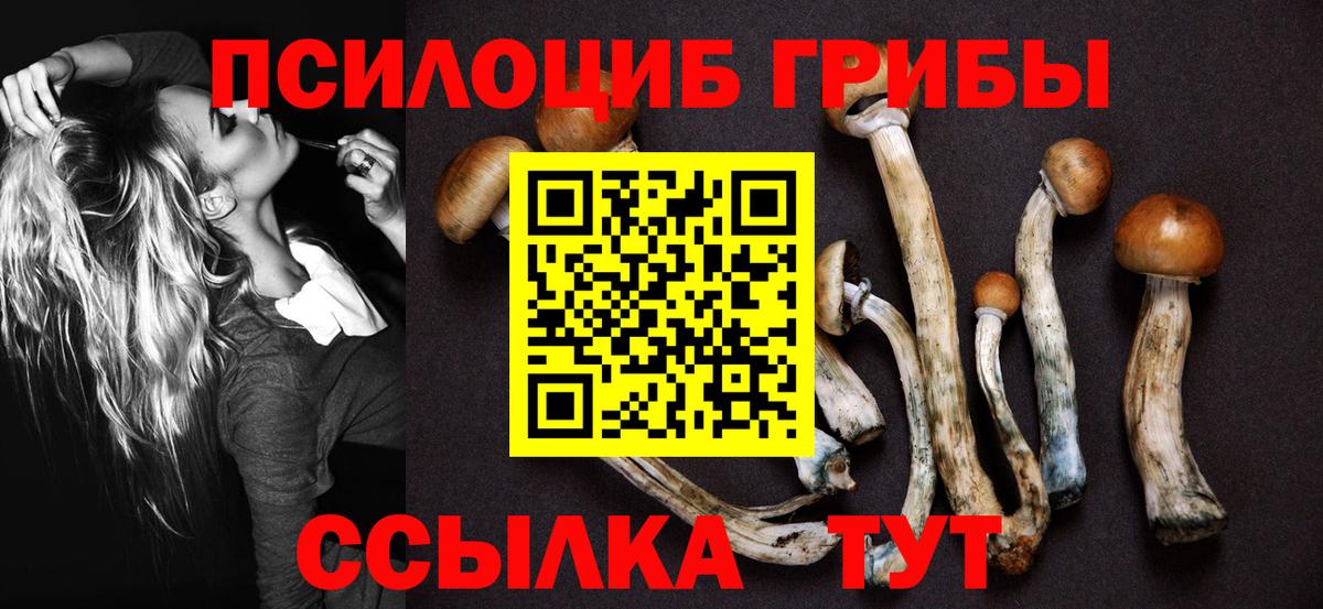 Галлюциногенные грибы Psilocybine cubensis Родники