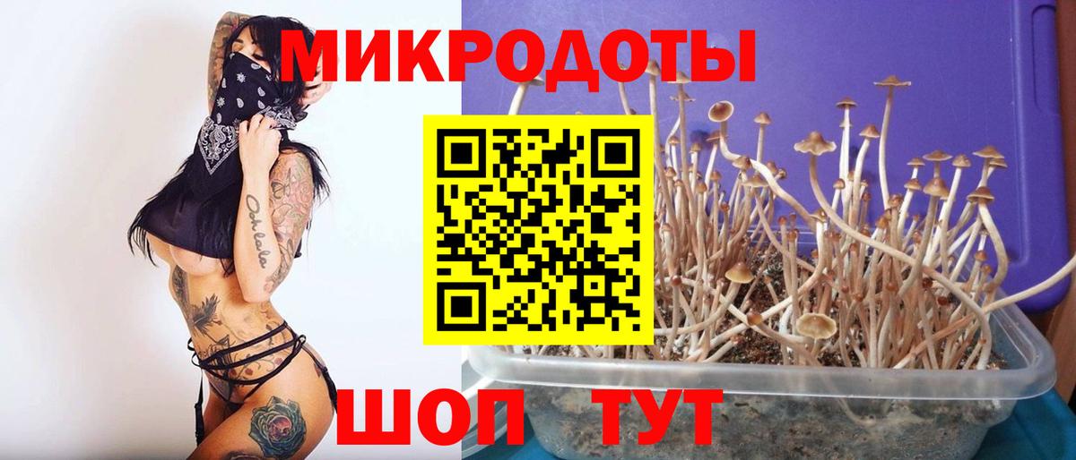 Псилоцибиновые грибы MAGIC MUSHROOMS  закладка  Родники  Вход с VPN  Псилоцибиновые грибы мухоморы 